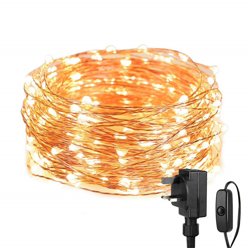 1000cm LED 100 - Bulb Fairy String Light