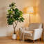 Figuier artificiel 6 pi 6 pi, plante artificielle avec pot décoratif blanc et mousse réaliste, plante d'intérieur pour le bureau