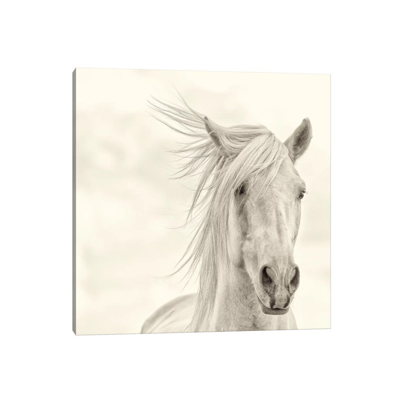 Wind Blown Mane I by PHBurchett - Wrapped Canvas Print, 93.98 cm H x 93.98 cm W x 1.91 cm D