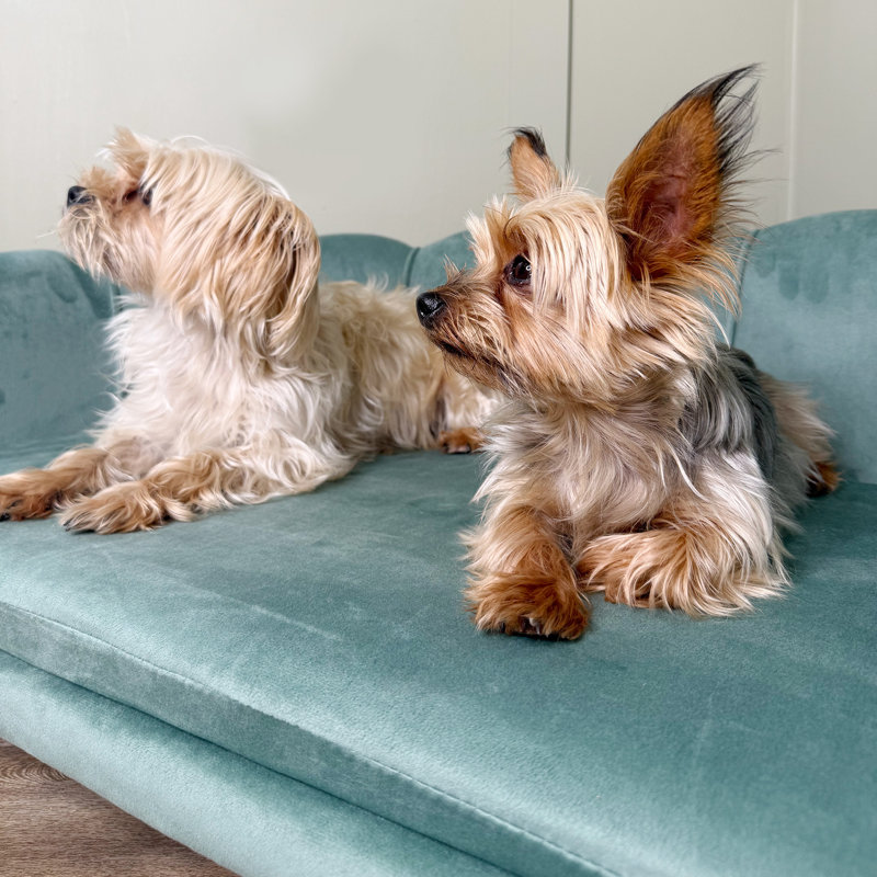 Polyester Pet Bed