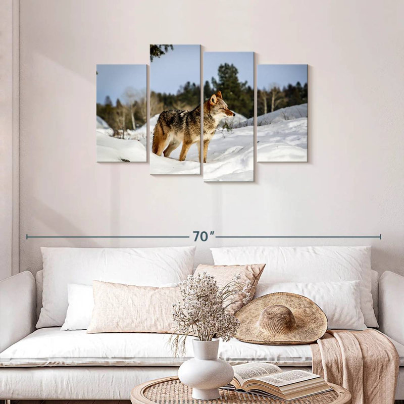 Coyotes des neiges hivernales, H 27 po x l 43 po