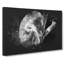 Koala Bear Resting In A Tree - Wrapped Canvas Print-56637342