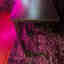 Photos des clients 1 de 1