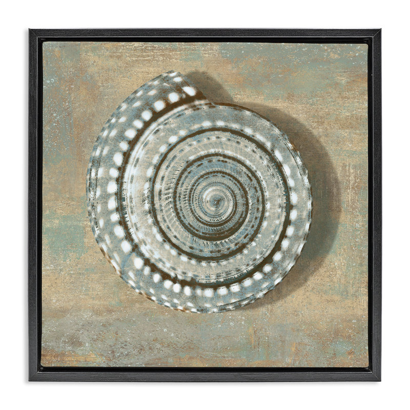 «Spiral Shell Beach Beach» par Christy McKee, Cadre flottant noir de jais, H 18 po x l 18 po
