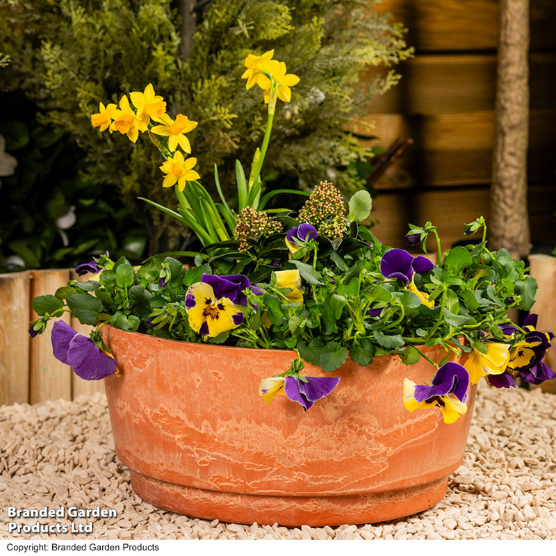 Pot Planter, Orange, 21cm H x 46cm W x 46cm D