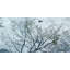 Wish Upon Water by Tracy Silva Barbosa - Wrapped Canvas Painting-952670971