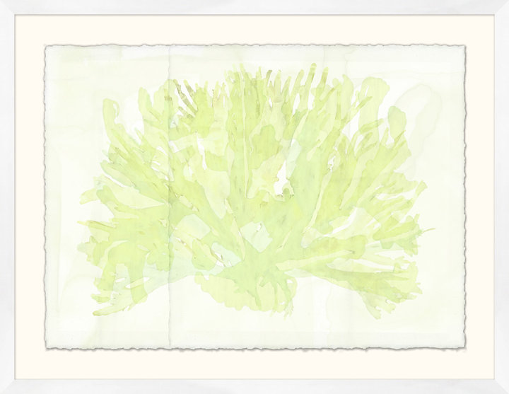 Horizontal Ocean Seagrass 2 Print