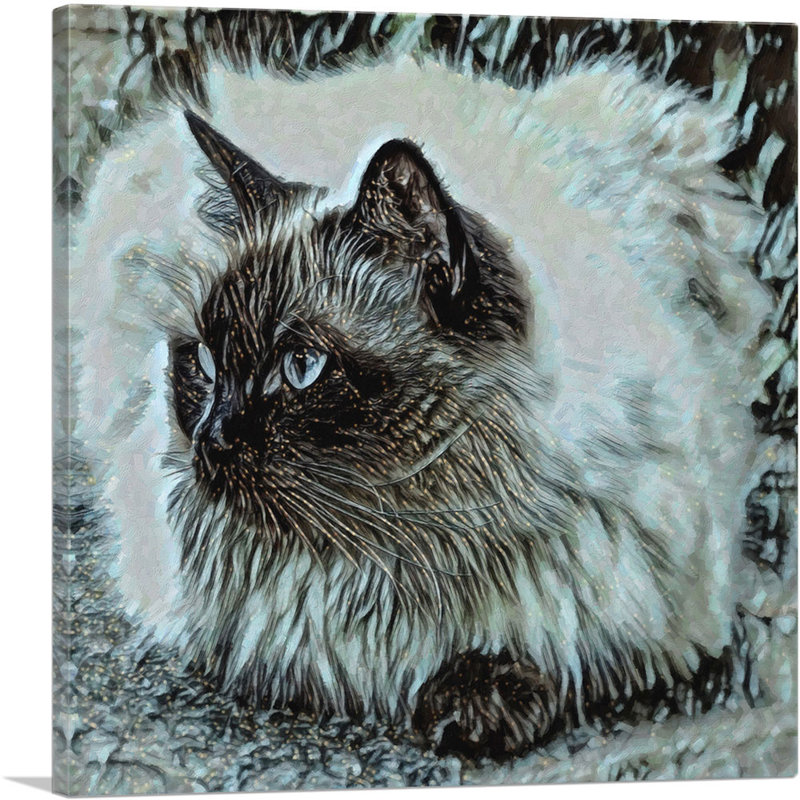 Himalayan Cat Breed - reproduction d'art sur toile tendue, H 26 po x l 26 po x P 0,75 po