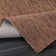 Brown Indoor/Outdoor Rug