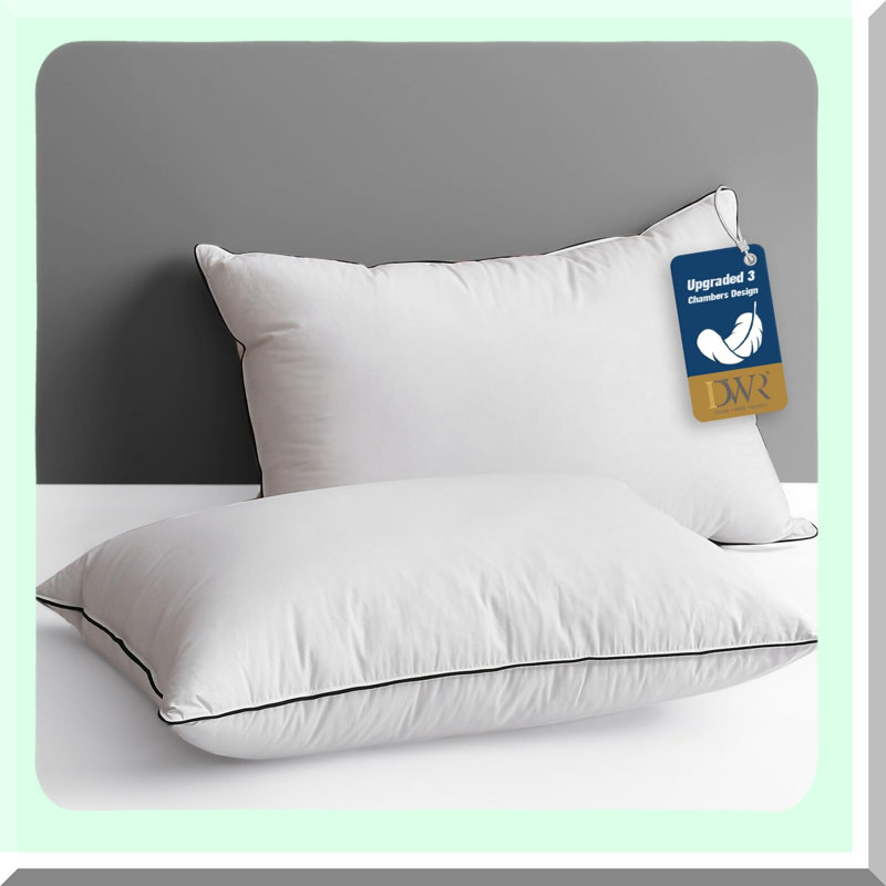 Luxury Sleep Essentials Queen Pillow Set - 2 Pack Goose Down Pillows, Hotel-Style Cotton Inserts for Stomach and Back Sleepers, Soft Medium Support