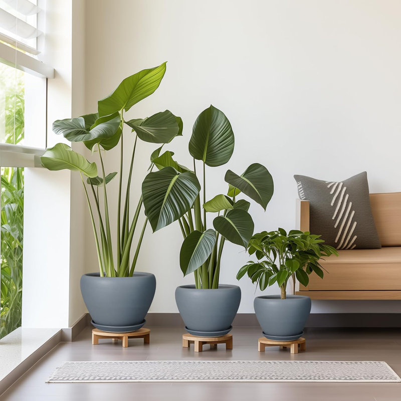 Ensemble de 3 jardinières en céramique grise (10 po, 8 po, 6 po) avec trous de drainage et soucoupes