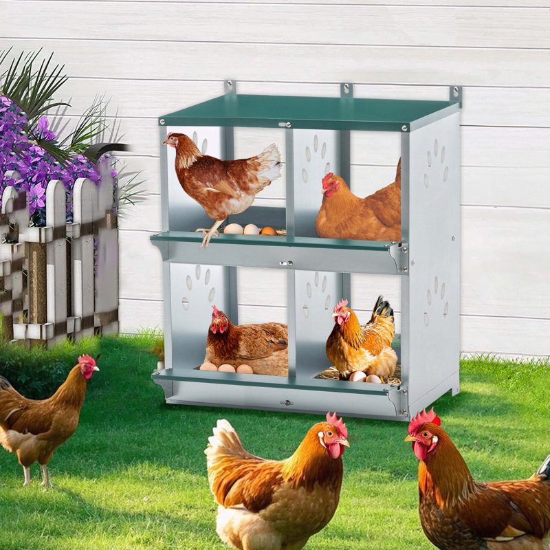 Boîte de 4 poulets en métal, H 25,59 po x l 22,05 po x P 16,92 po