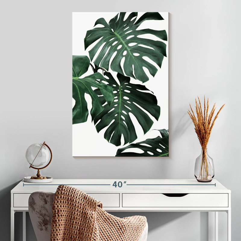 Harnek Lush Monstera II, H 30 po x l 20 po