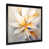 Black Single Picture Framed