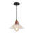 1- Single Pendant Light With Clear Glass