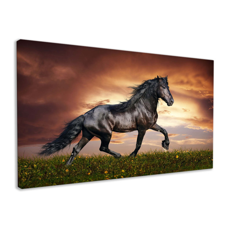 Beautiful Stallion - Wrapped Canvas Art Prints, 31cm H x 51cm W x 2cm D
