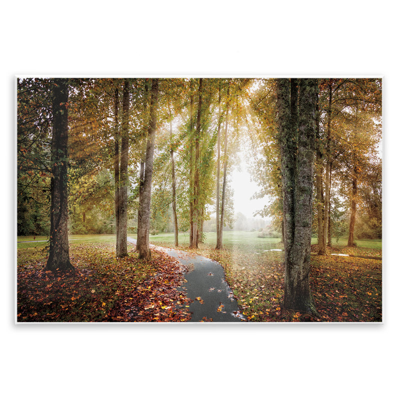 «Follow The Light Forest Path», plaque murale par la galerie Celebrate Life, H 10 po x l 15 po