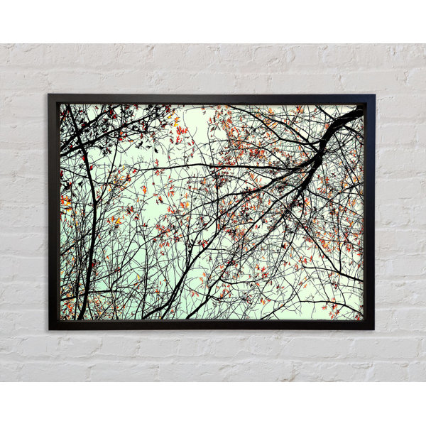 Ebern Designs Trees In The Sky - Single Picture Frame Art Prints on ...