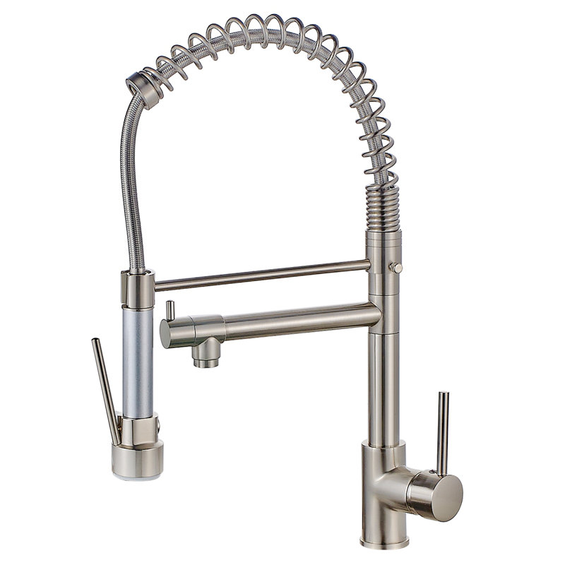 Robinet de cuisine avec douchette extractible et robinets d'évier de cuisine à poignée simple
