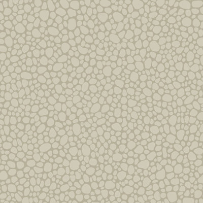 Landscape Plains Pebble Stone Wallpaper Roll