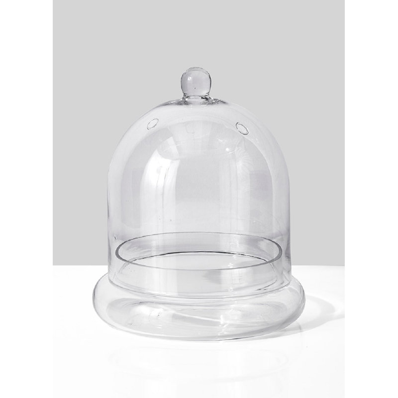 Terrarium en verre Hantsport, H 9,5 po x l 7,5 po x P 7,5 po, 1
