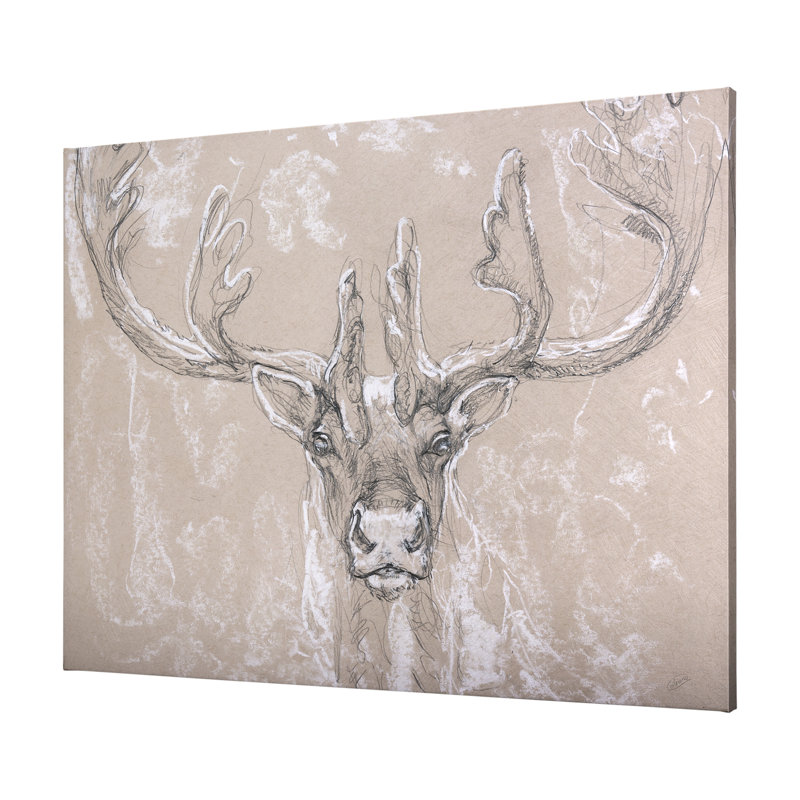 Croquis d'un animal IV (girafe) sur toile, H 42 po x l 56 po, Croquis d'un animal II