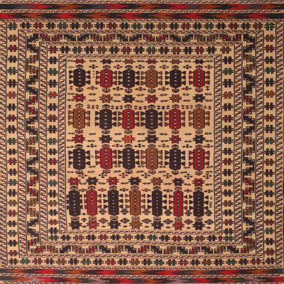 Tapis beige Southwestern