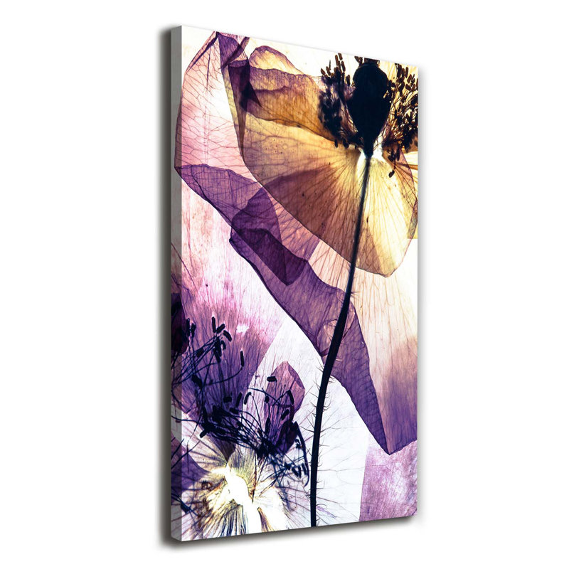 Maki - Wrapped Canvas Print