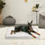 Orthopedic Dog Bed Pet Crate Mattress -91265171