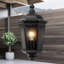 Adelhard 42.5cm H Outdoor Wall Lantern