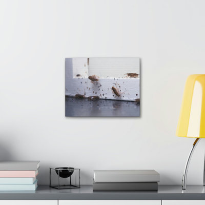 Wall Art on Canvas