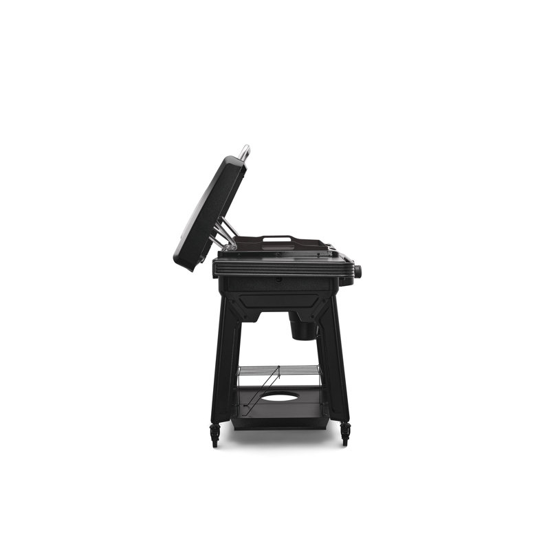 Traeger Flatrock 2 Zone Griddle