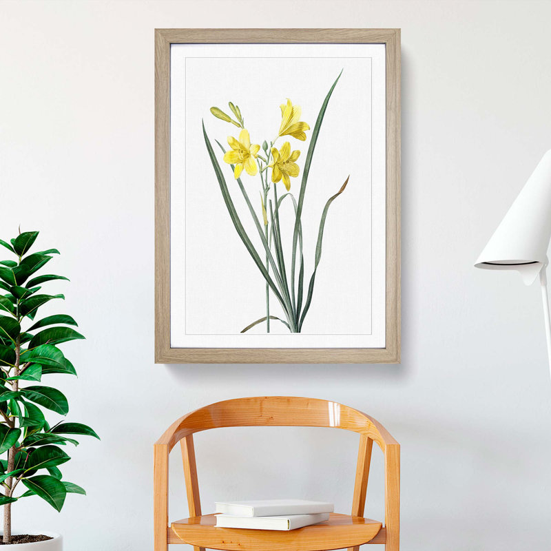 Yellow Daylily by Pierre-Joseph Redoute - Picture Frame Painting Print, 48cm H x 36cm W x 2cm D, Oak Framed