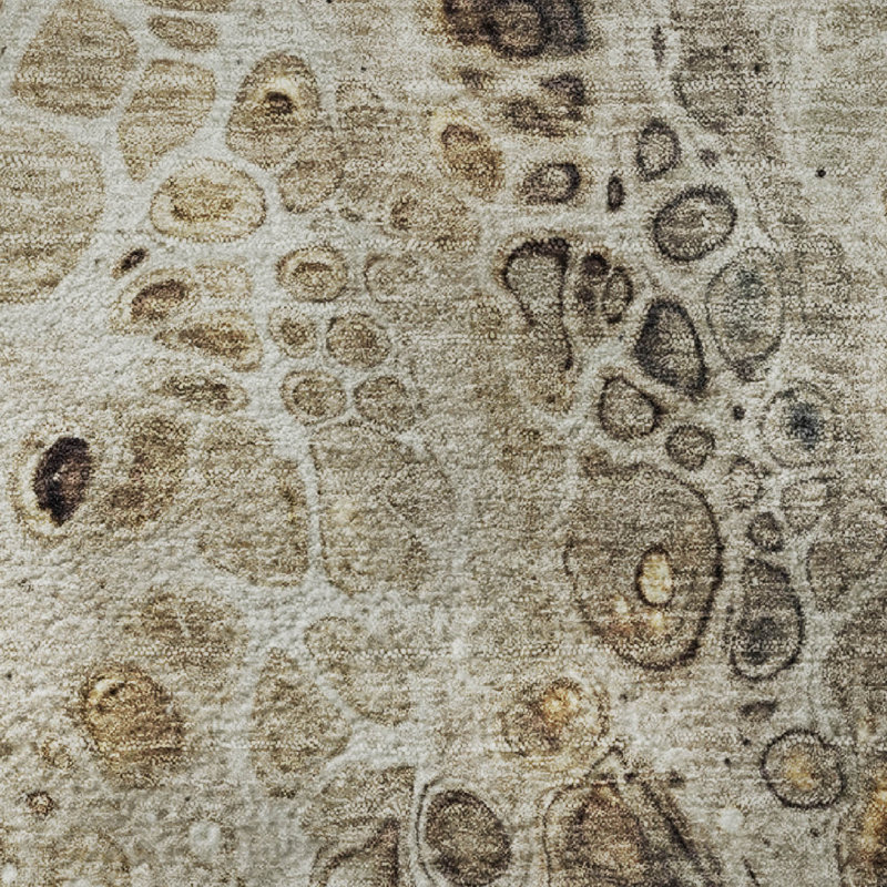 Premium Machine Washable Mayfield AMF1934 Abstract Rug, Rectangle 1'8" x 2'6"