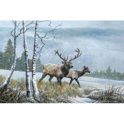 Elk Journey IV