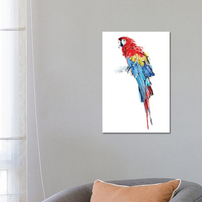 Macaw by EdsWatercolours - Wrapped Canvas Painting
