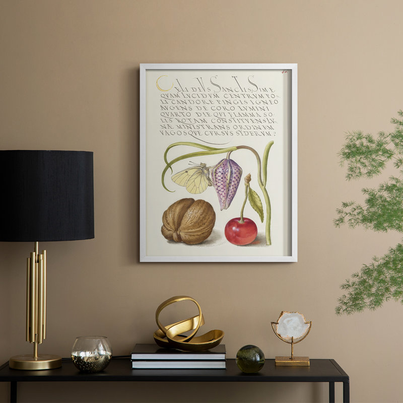 Reproduction encadrée Hoefnagel, spéculations tropicales - bois massif, H 11 po x l 9 po, Blanc