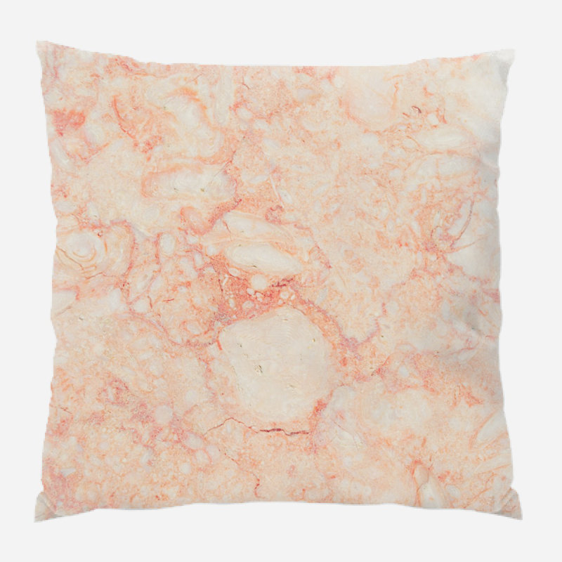 Coussin décoratif Hephzibah, Microsuède, Intérieur