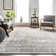 Akimitsu Southwestern Gray Area Rug