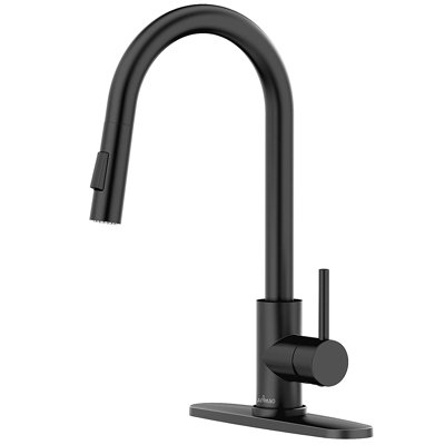 APPASO Pull Down Kitchen Faucet