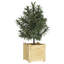 Alatea Wood Planter Box-967479410-967479408