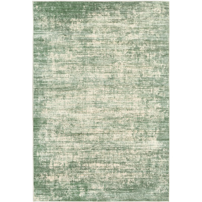 Distressed Abstract Non Slip Washable Area Rug(5'X7', Green)