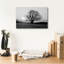 «Meadow Tree» par PhotoINC Studio-1204318441