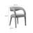 Pinnacle Performance Velvet Dining Chair Set Of Two In Brown-91110992