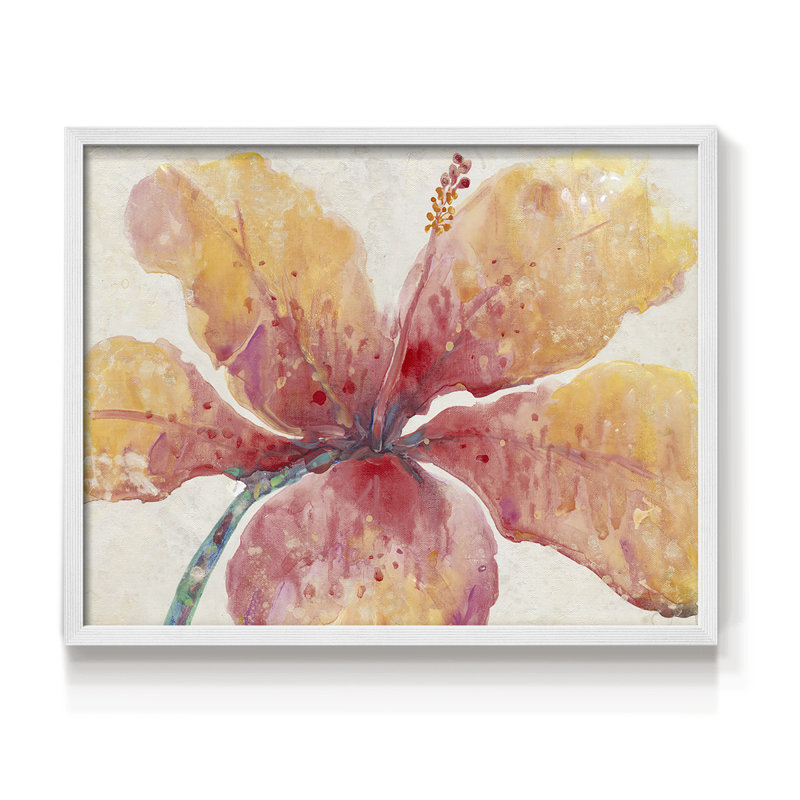 Blooming Hibiscus -Framed Print - Restickable, 8" H x 10" W, White