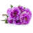 Mauve