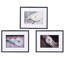Décoration murale en corde de 30 po x 24 po avec cadre noir, 3 pièces pour le salon, la chambre à coucher, le bureau, l'entrée, blanc et noir, 3 pièces d'art en plastique, vestibule de travail et perchoir