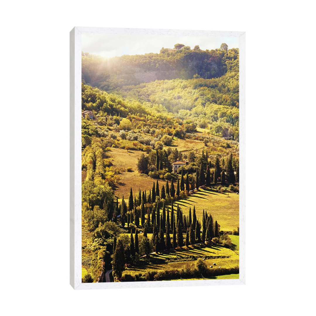 Countryside In Tuscany Italy With Cyprus Trees von Susan Richey - Gallery-Wrapped Canvas Giclée on Canvas