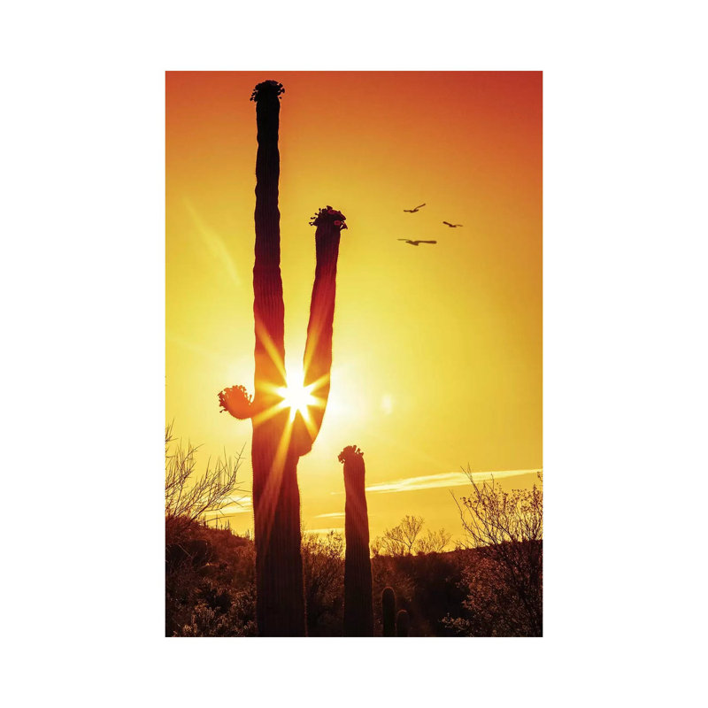 Saguaro Cactus Silhouette At Sunrise by Susan Schmitz - Print on Canvas, Wrapped Canvas, 101.6cm H x 66.04cm W x 1.91cm D