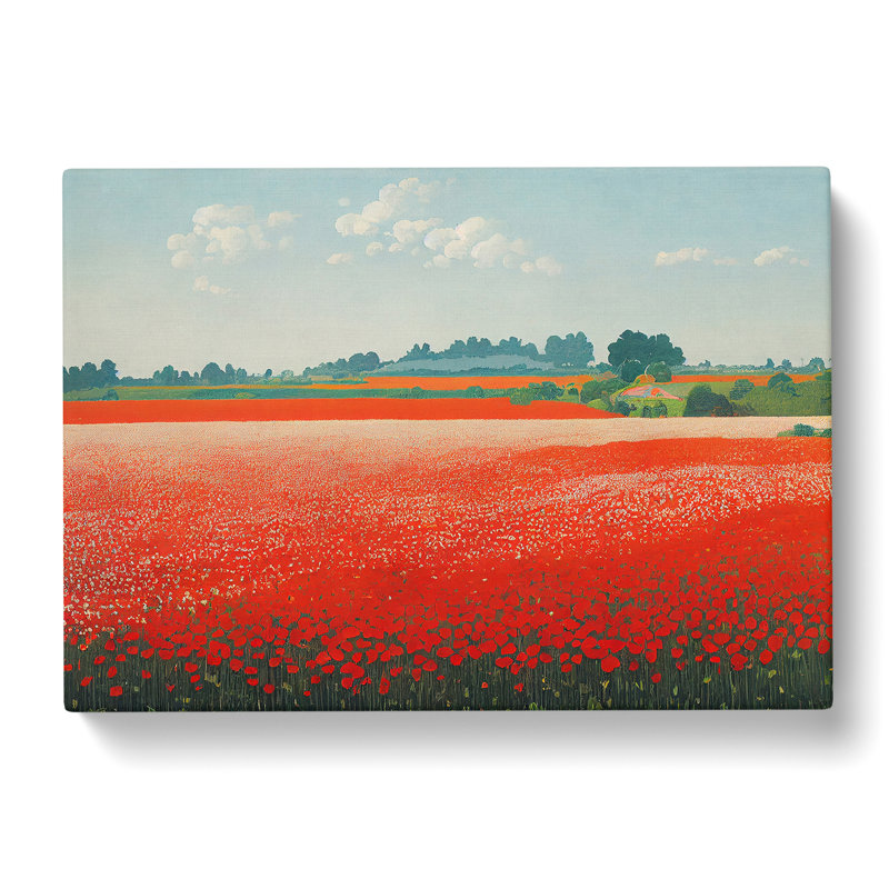 Bright Poppies Flowers - Wrapped Canvas, 35cm H x 50cm W x 3cm D